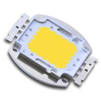 100 W branco 6000 K Módulo integrado de luz Led Z1C