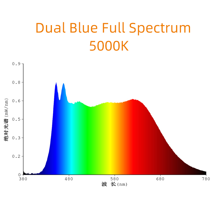 LED de espectro total azul duplo 0,5 W 2835 SMD 5000 K