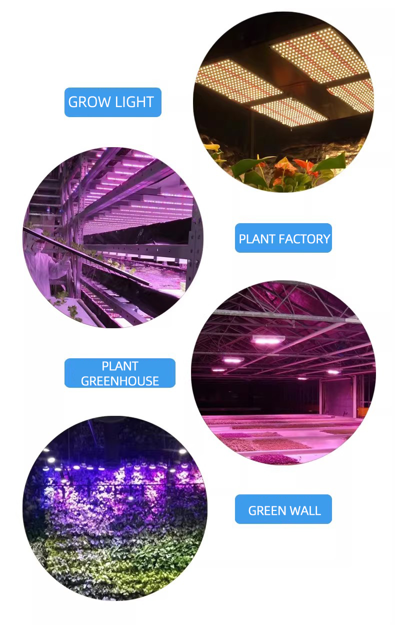 Fonte de iluminação para plantas 3030, alta tensão, 5V, galpão dedicado de alta potência, 0,8 W, espectro completo, contas de LED